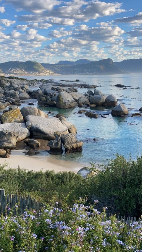 Bosky Dell on Boulders Beach Nature lodge in Cape Town