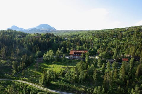 Bird's eye view, Summer