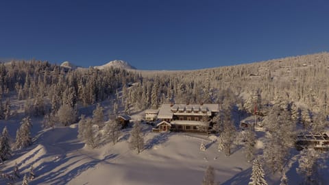 Bird's eye view, Winter