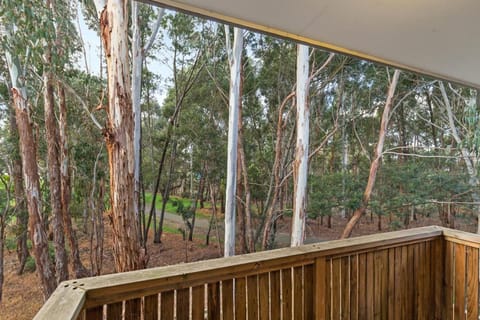 Tangles Maison in Ballarat