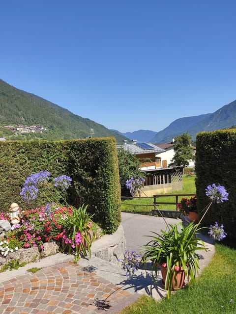 Appartamento Patrizia e Franco Apartment in Trentino-South Tyrol