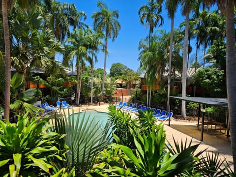 Spring, Day, Garden view, Pool view, Swimming pool