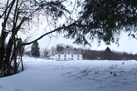 Property building, Winter