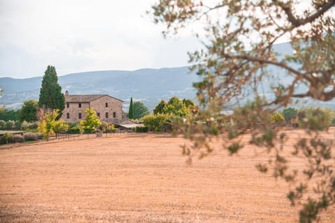 San Carlo a La Molinella Country House in Umbria