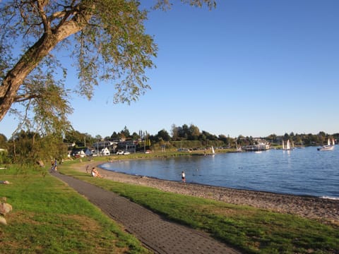 Beach, Area and facilities