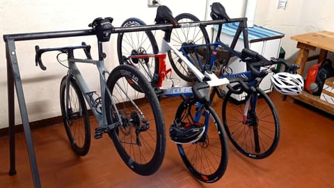 Spring, Activities, Summer, Other, Cycling, Autumn, On site, Area and facilities, Sports, Seasons, storage