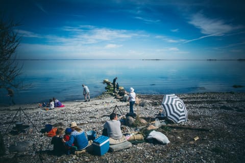 Gæstgiveri Bregninge Bed and Breakfast in Region of Southern Denmark