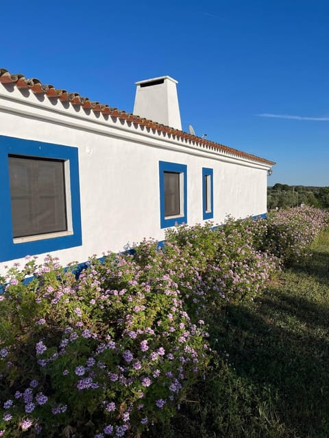 Property building, Day, Garden, Garden view