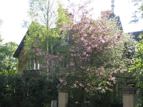 Property building, Facade/entrance, Garden
