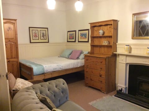 Bed, Library, Photo of the whole room, Seating area, flat iron