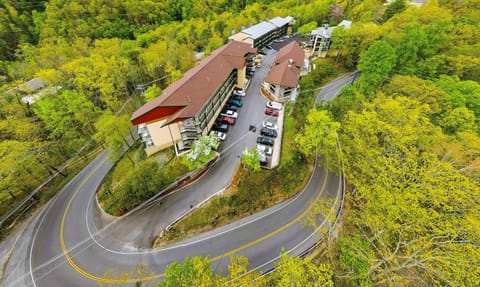 Day, Bird's eye view, Street view, Location, Parking