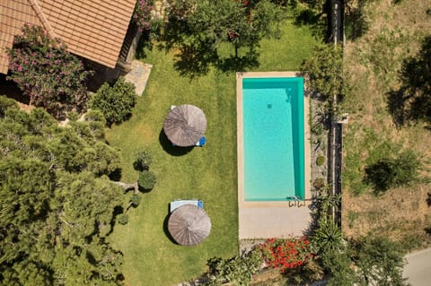 Day, Garden view, Swimming pool, sunbed