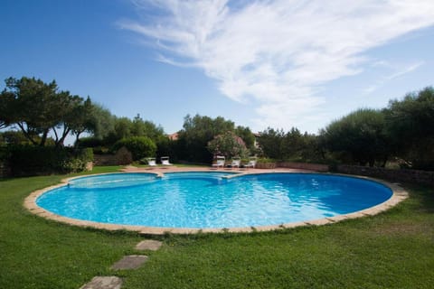 Garden, Pool view, Swimming pool