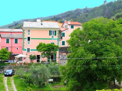 Property building, Garden view