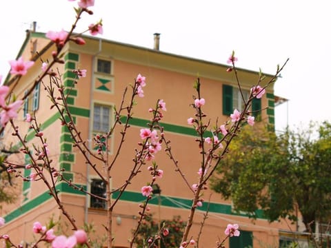 Property building, Garden, Garden view