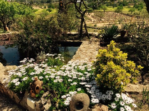 Garden, Garden view