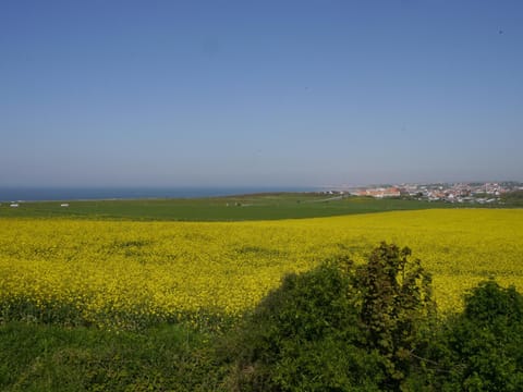Natural landscape