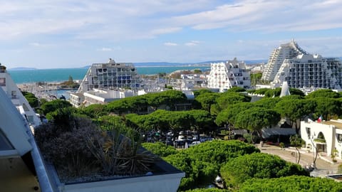 City view, Sea view