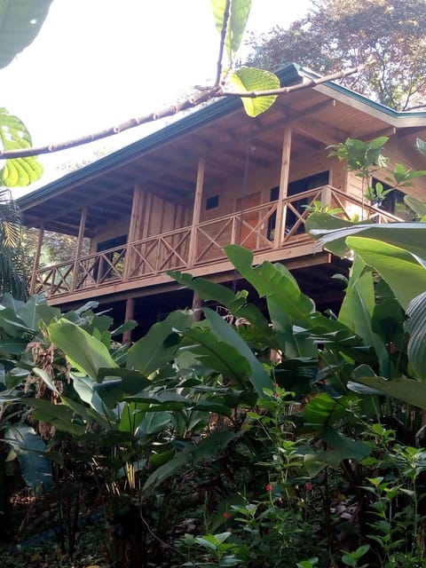 Forest Lodge Albergue natural in Uvita