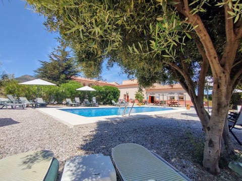 Garden, Pool view, Swimming pool