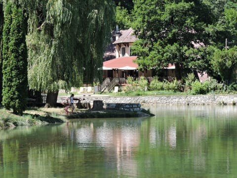 Fishing, Lake view