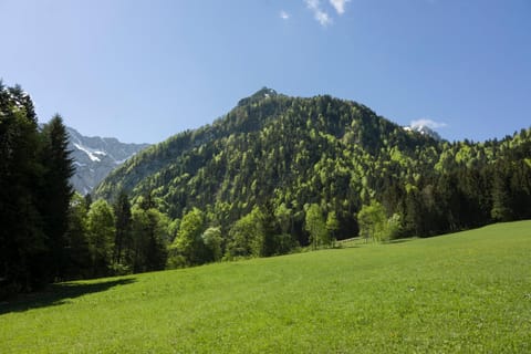 Chalet Auszeit Chalet in Walchsee