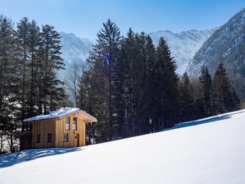 Chalet Auszeit Chalet in Walchsee