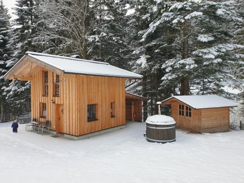 Chalet Auszeit Chalet in Walchsee