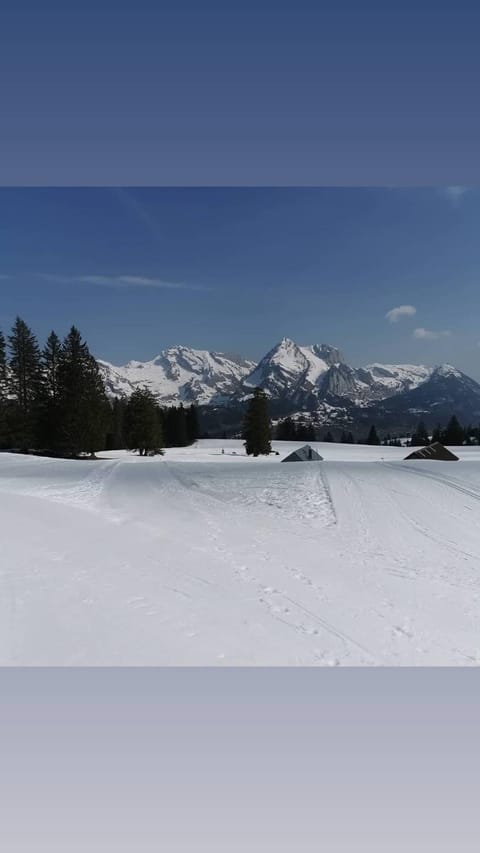 Natural landscape, Winter, Hiking