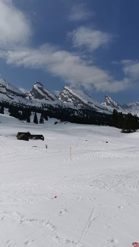 Natural landscape, Winter, Hiking