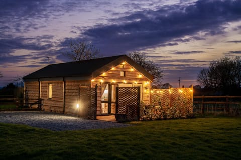 Property building, Night, Garden, Garden view