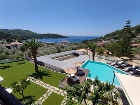 Bird's eye view, Beach, Pool view