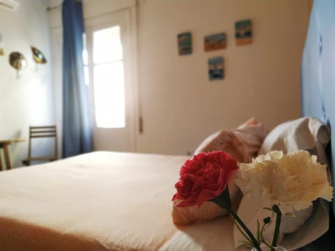 Hostal Casa Nautilus Bed and Breakfast in Cadiz