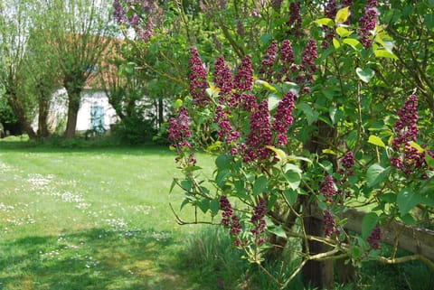 Natural landscape, Garden, View (from property/room), Garden view