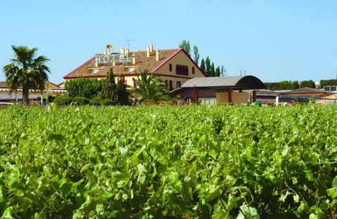 Property building, Day, Natural landscape