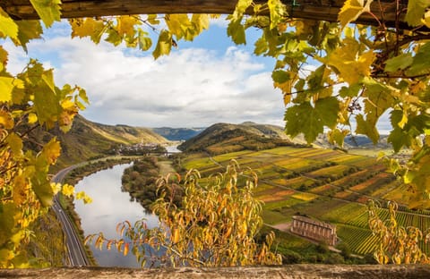 Canoeing, Hiking, Autumn