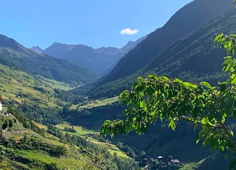 Natural landscape