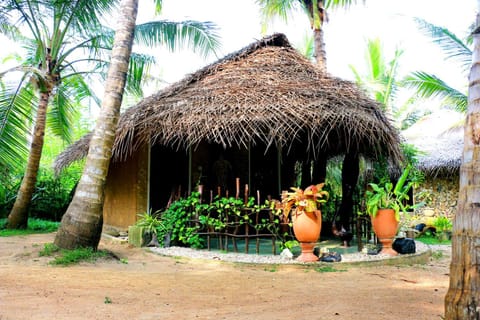 Turtle Watch Cabana Bed and Breakfast in Southern Province