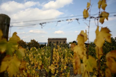 Facade/entrance, Garden