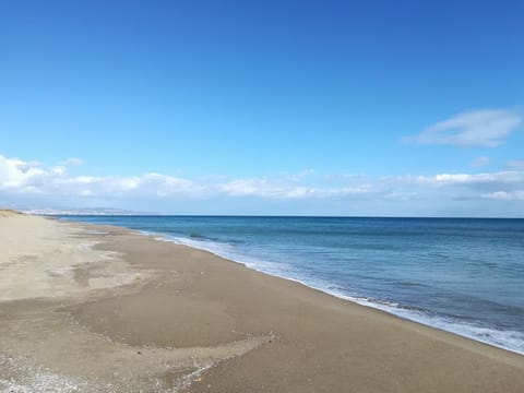 Nearby landmark, Natural landscape, Decorative detail, Beach, Landmark view, Sea view