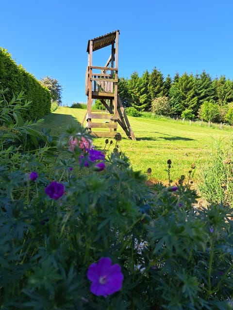 Children play ground