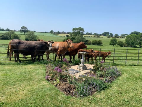 Weatherhead Farm Farm Stay in Aylesbury Vale