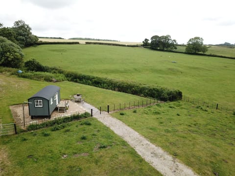 Property building, Patio, Day, Natural landscape, Bird's eye view, Animals, Garden view, Parking