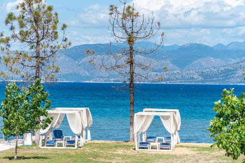 View (from property/room), Beach