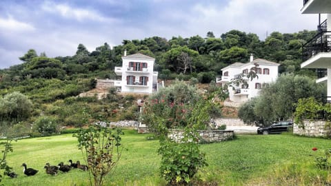 Mando Beachfront Alojamiento y desayuno in Sporades, Greece