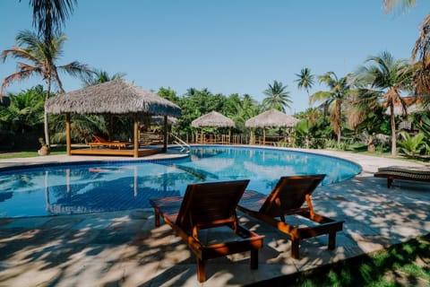 Garden, Pool view, Swimming pool, sunbed