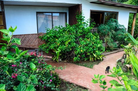 Property building, Spring, Day, Garden, Garden view