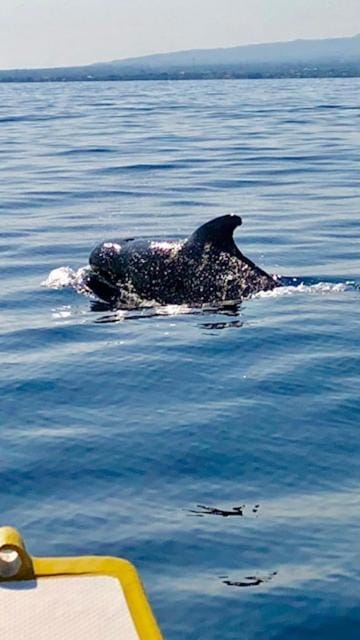 Villa Luna Resort Villa in Bali