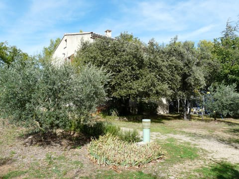 Patio, Garden, Garden view