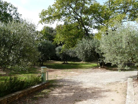 Patio, Garden, Garden view